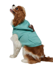 Load image into Gallery viewer, Doggie Grunge Emo Fleece Hoodie Shirt Outfit Pull Over
