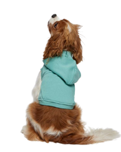 Load image into Gallery viewer, Doggie Grunge Emo Fleece Hoodie Shirt Outfit Pull Over
