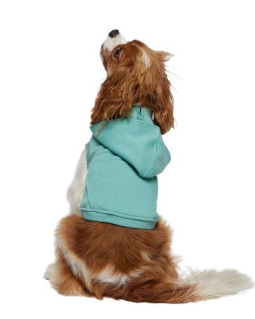 Doggie Grunge Emo Fleece Hoodie Shirt Outfit Pull Over