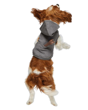 Load image into Gallery viewer, Doggie Grunge Emo Fleece Hoodie Shirt Outfit Pull Over
