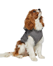 Load image into Gallery viewer, Doggie Grunge Emo Fleece Hoodie Shirt Outfit Pull Over
