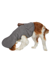 Load image into Gallery viewer, Doggie Grunge Emo Fleece Hoodie Shirt Outfit Pull Over
